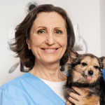 Author Avatar